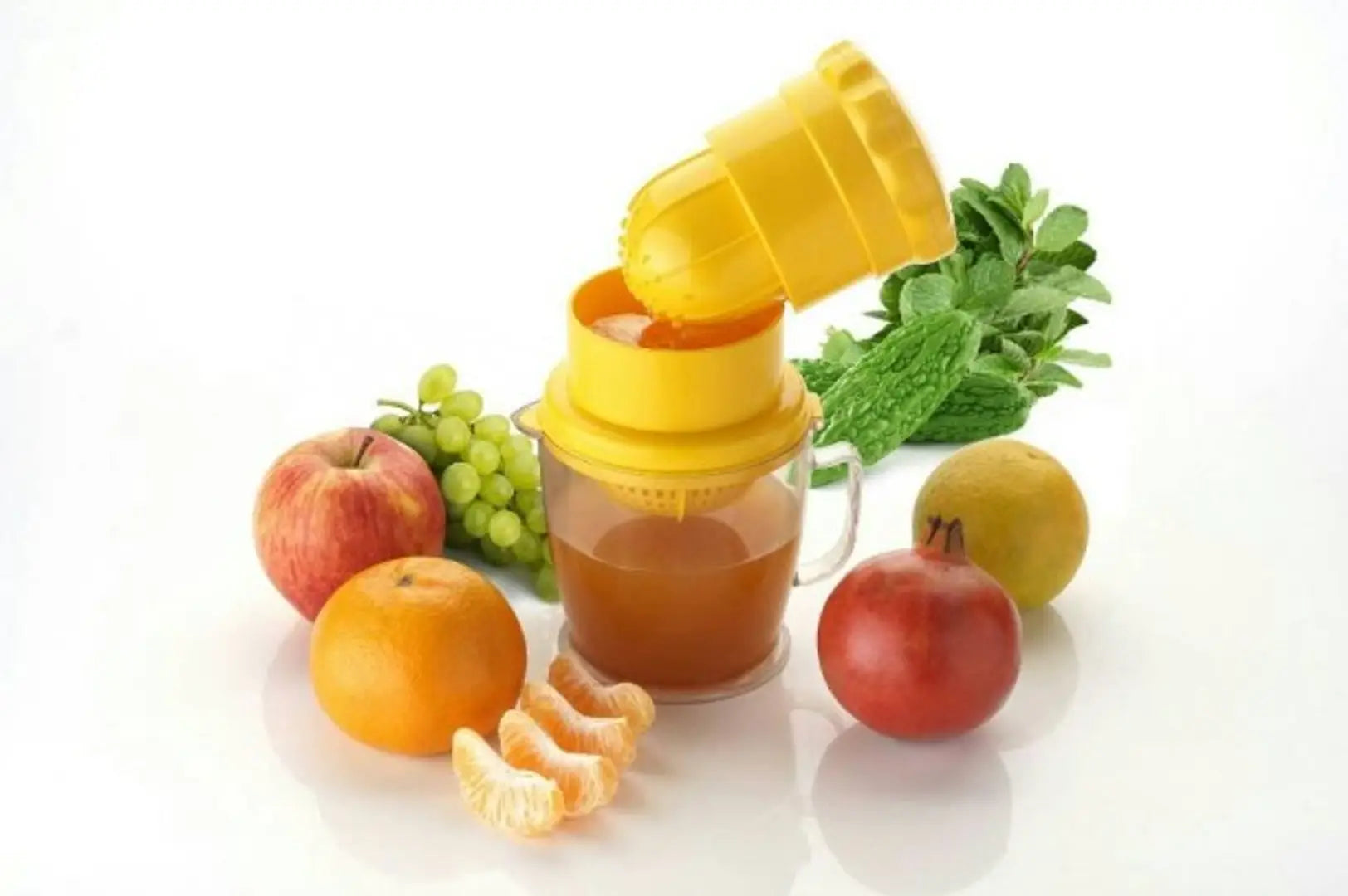 2 in 1 Multi Use Manual Hand Press Fruit Juicer